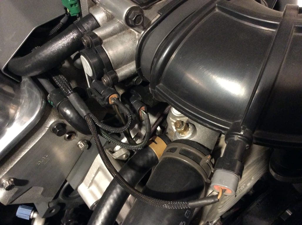 Customer review image