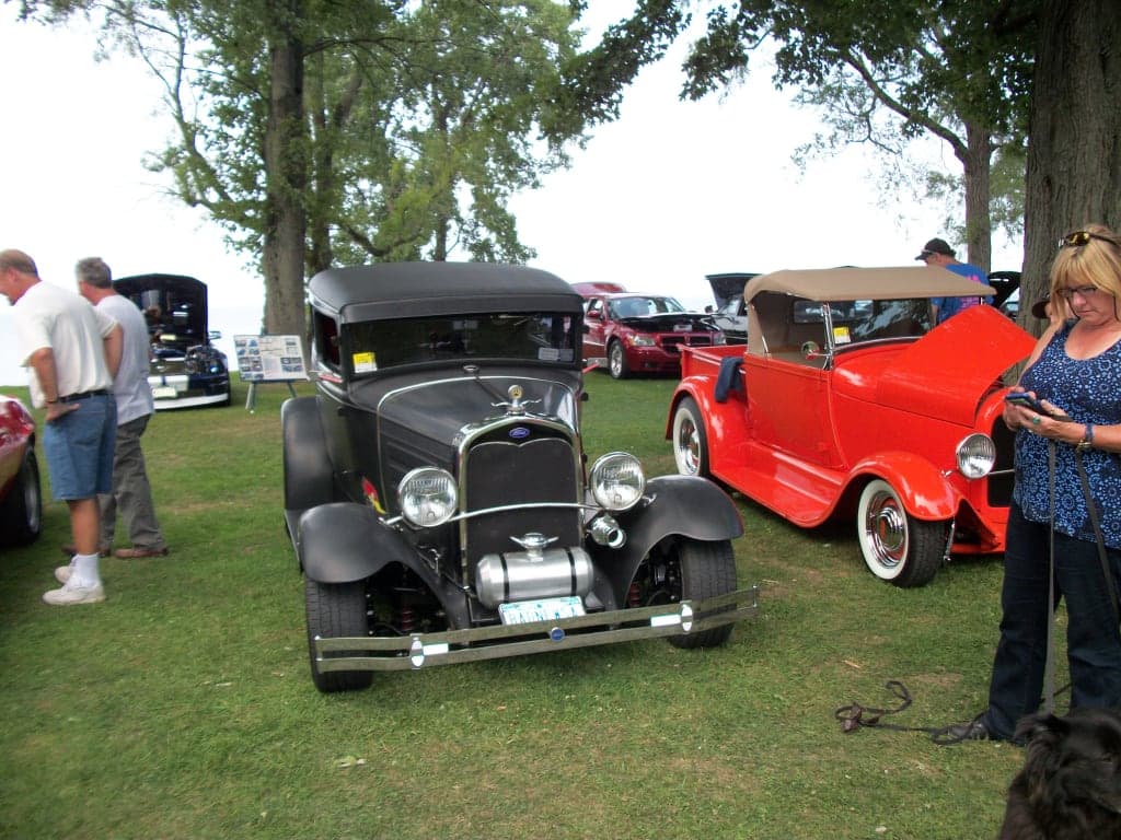 Customer review image