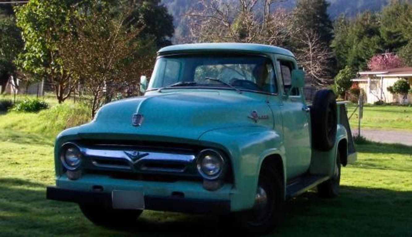 Customer review image