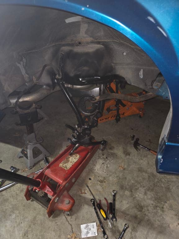 Customer review image