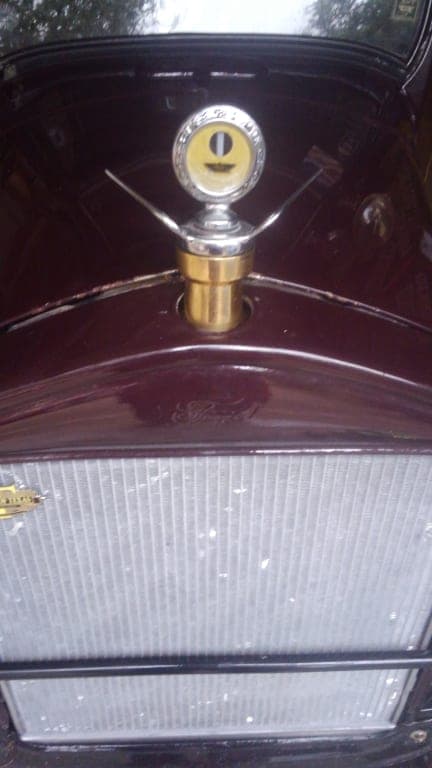 Customer review image