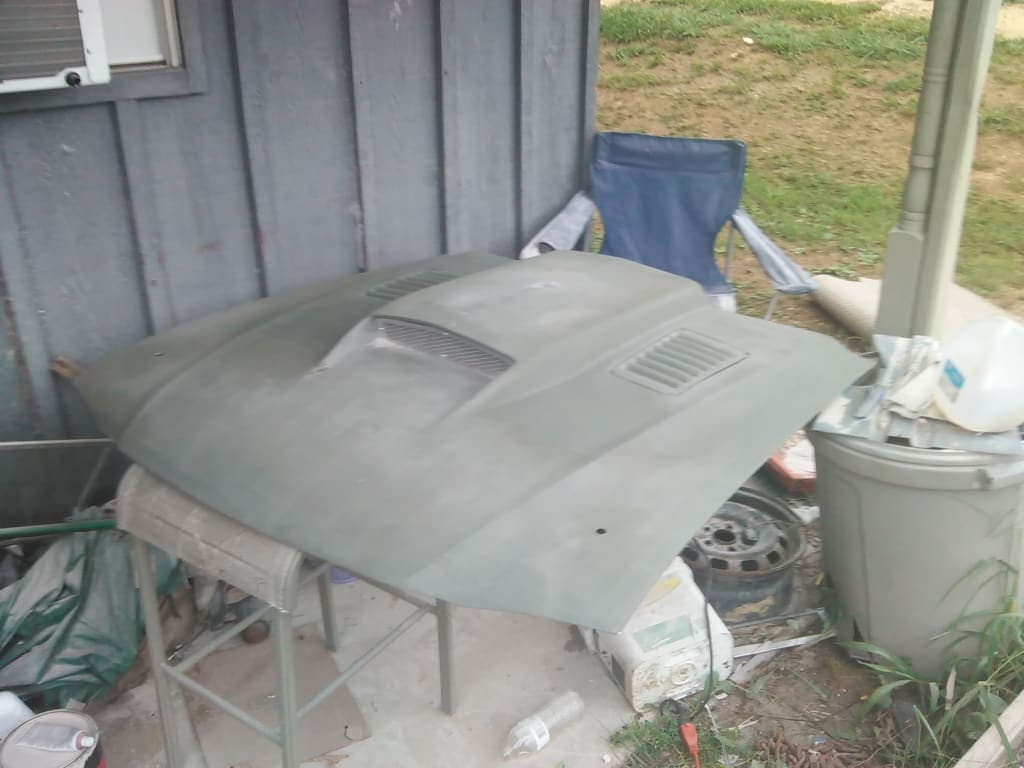 Customer review image