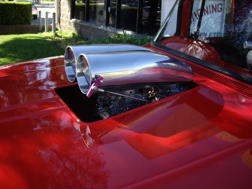 Customer review image