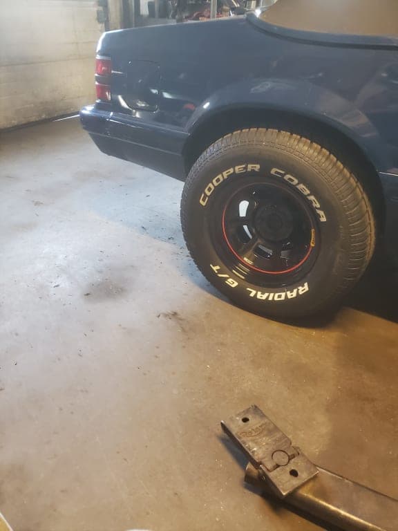 Customer review image