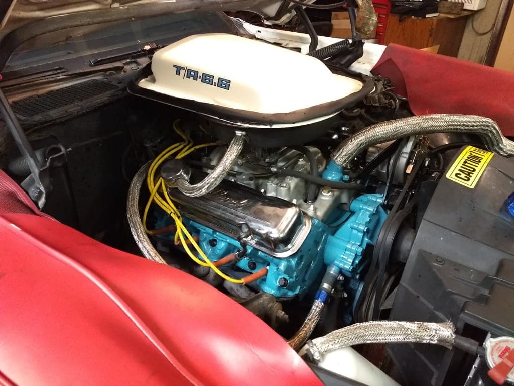 Customer review image