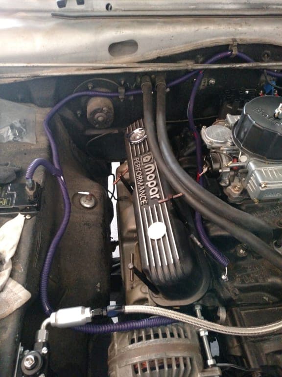 Customer review image