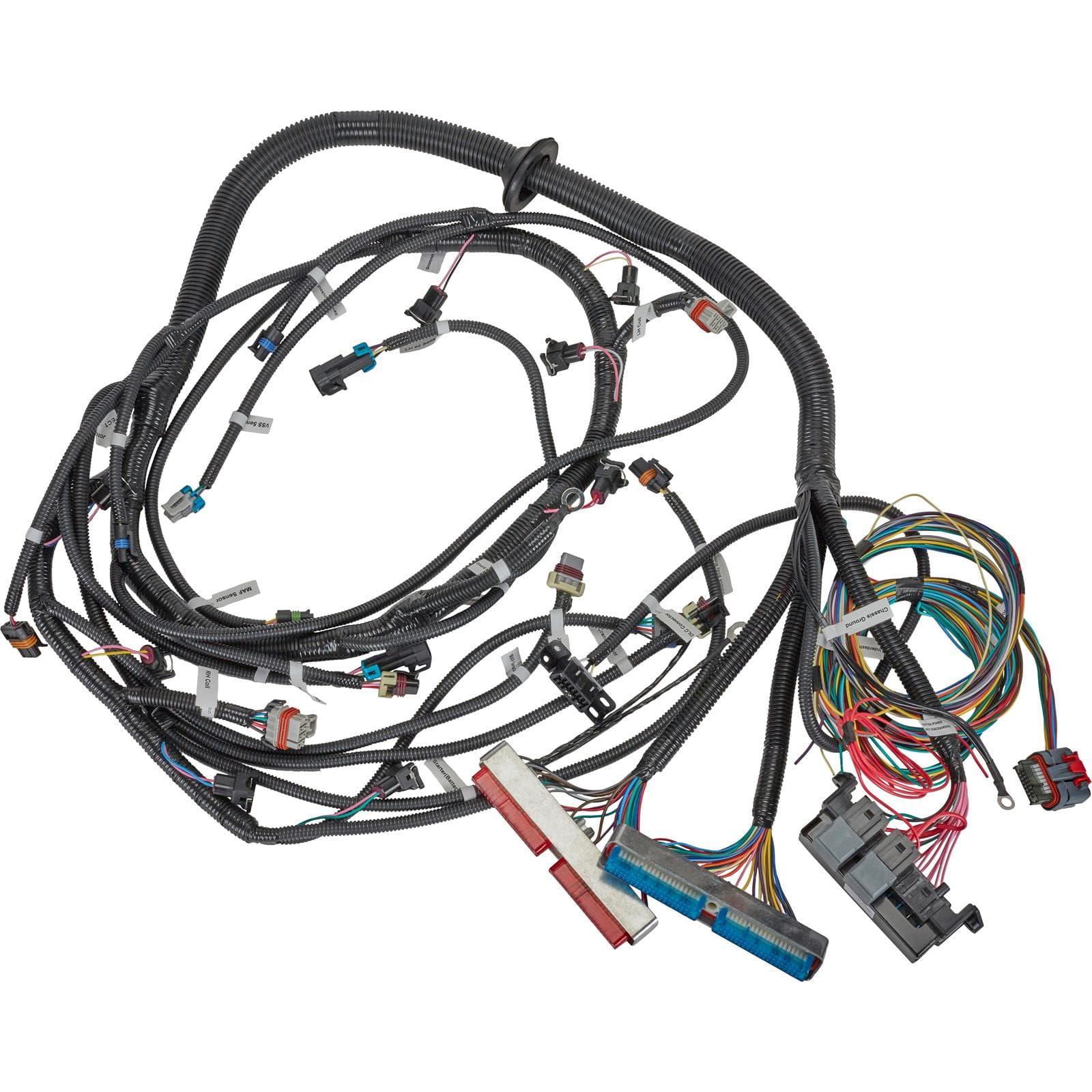 Engine Wiring Harnesses | Speedway Motors