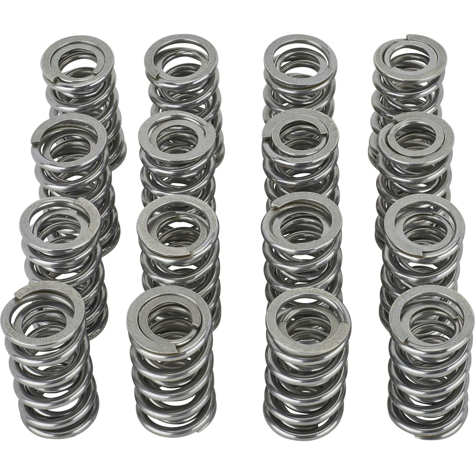 BTR SK008/BB Platinum Gen V LT4 Dual Valve Spring Kit, .660