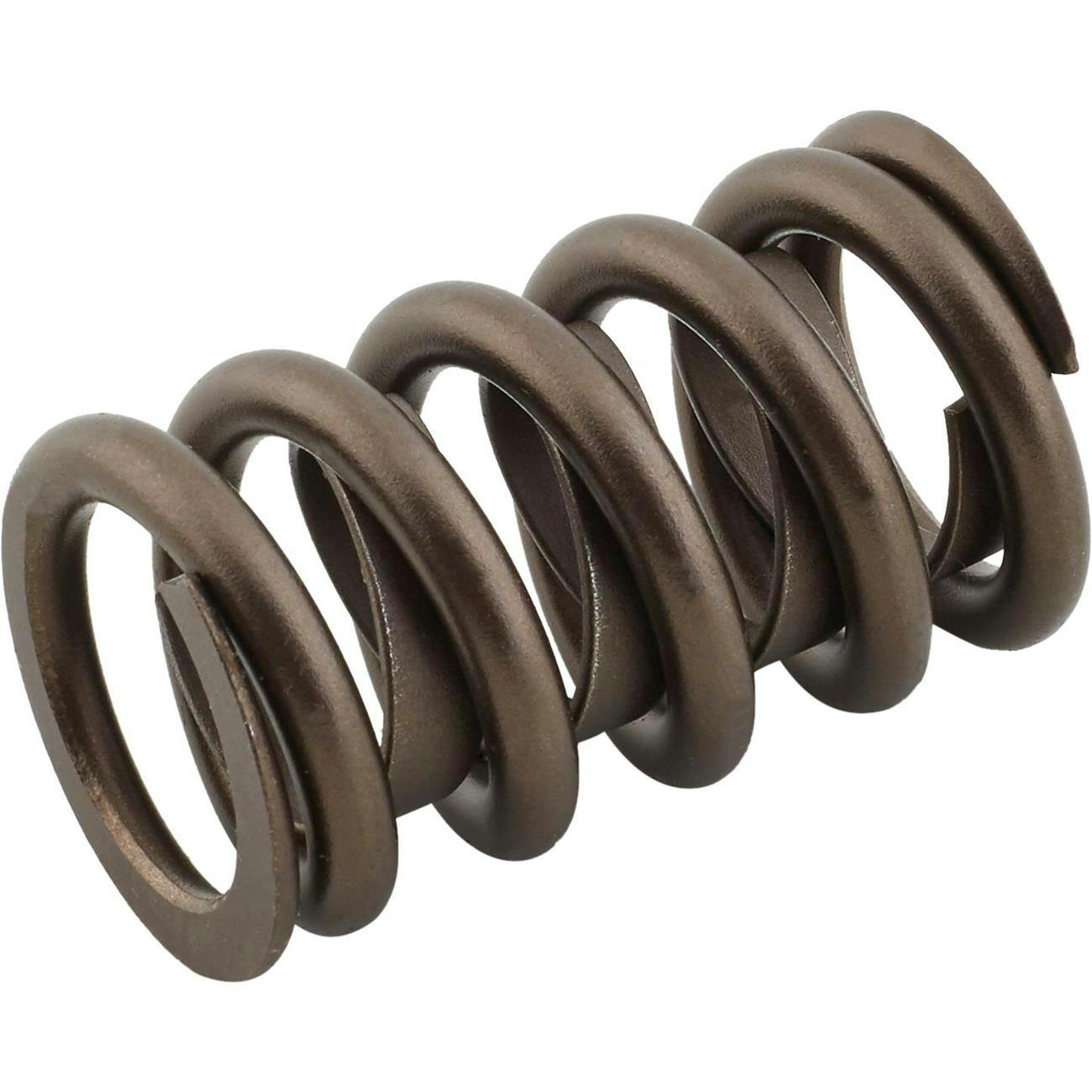 PAC Racing Springs 1216L RaceSaver Valve Springs, Set Of 16