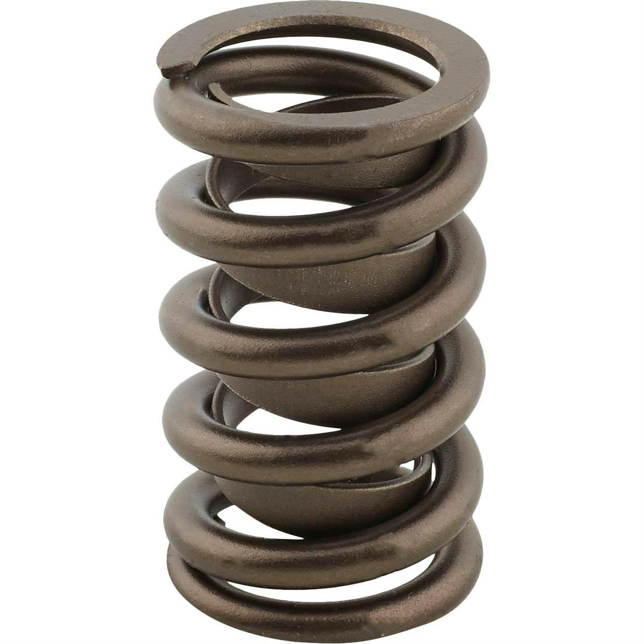 PAC Racing Springs 1216L RaceSaver Valve Springs, Set Of 16