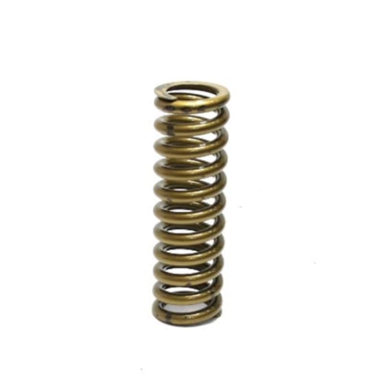 Garage Sale - Landrum 12 Inch Coilover Springs