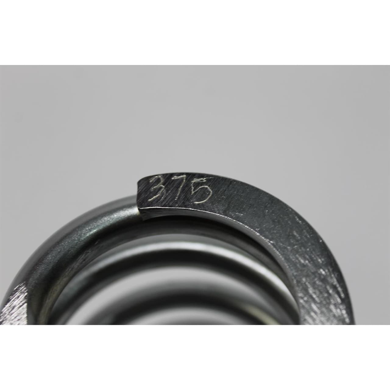 Garage Sale - 8 Inch Spring for Pro Mustang II Coilovers